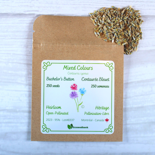 Mixed Colours - Bachelors Button Seeds | Ecoseedbank Canada