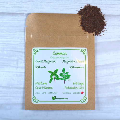Sweet Marjoram Seeds Ecoseedbank Canada