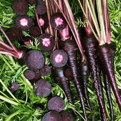Black Nebula - Carrot Seeds | Ecoseedbank Canada