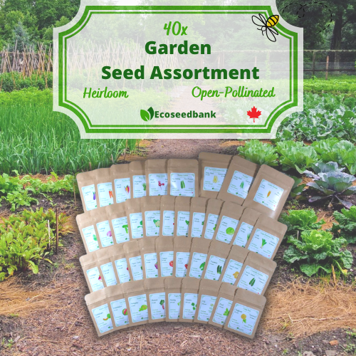 garden seed banks 40x Garden Seed Assortment