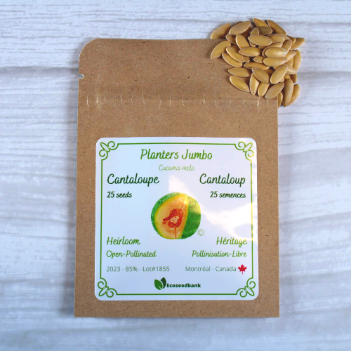 Planters Jumbo Cantaloupe Seeds Ecoseedbank Canada