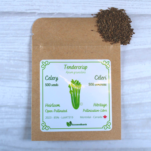 where to buy celery seeds for planting Tendercrisp - Celery Seeds