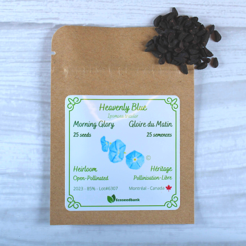 heavenly blue morning glory seeds Heavenly Blue - Morning Glory Seeds