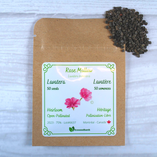 lavatera flower seeds Lavatera - Rose Mallow Seeds