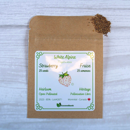 white alpine strawberry seeds White Alpine - Strawberry Seeds