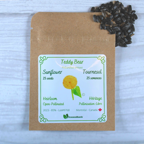 Teddy Bear Sunflower Seeds Ecoseedbank Canada - Main Image