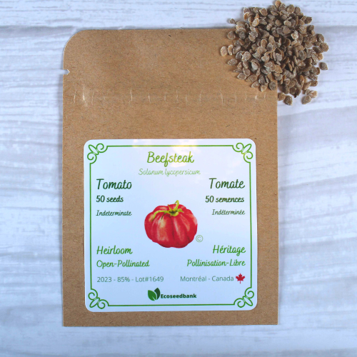 Tomato Seeds, True Beefsteak or Fejee Improved